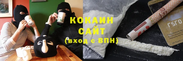 соль ск Алзамай