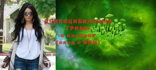 прущие грибы Алексин