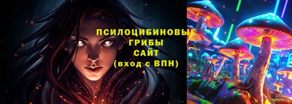прущие грибы Алексин