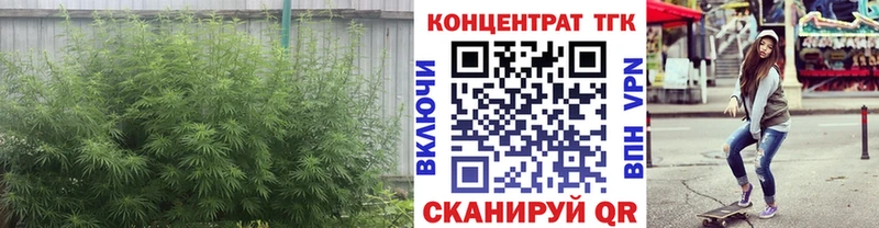 omg как войти  Палласовка  ТГК THC oil 