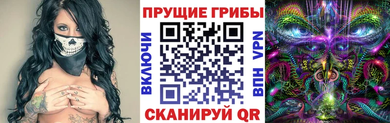 Галлюциногенные грибы ЛСД Палласовка